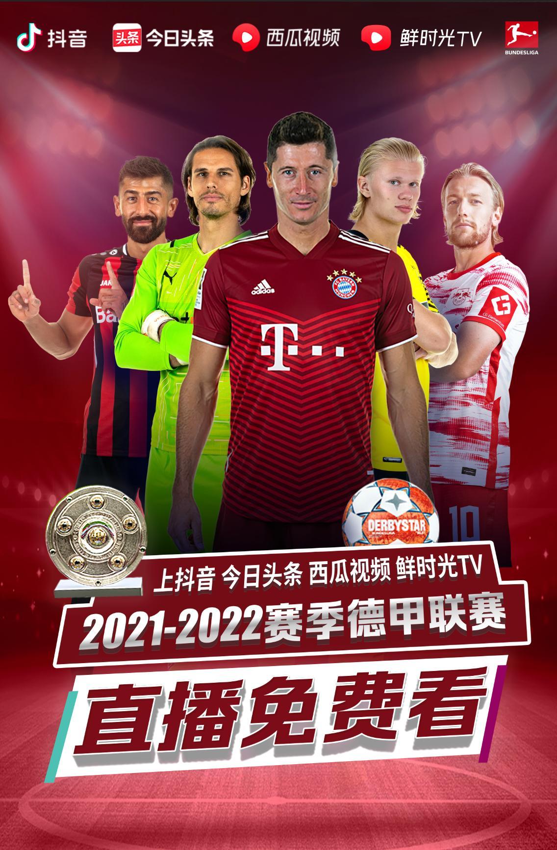 了篮球运
